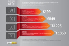 Business in a Box (Options)